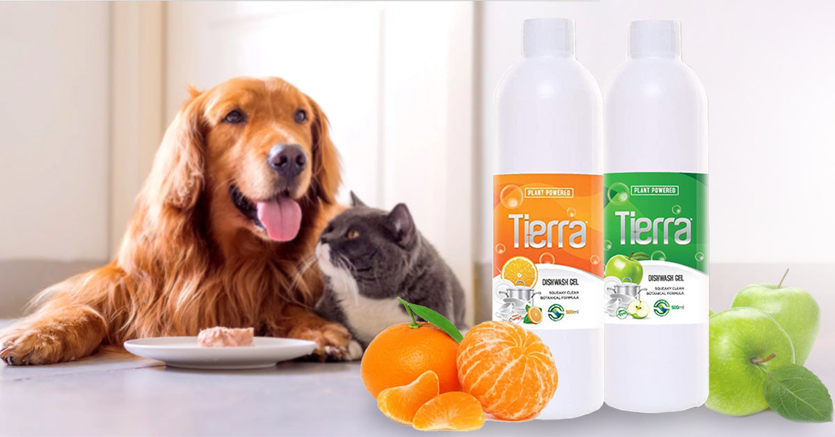 Tierra Dishwash Gel 1 L | Green Apple